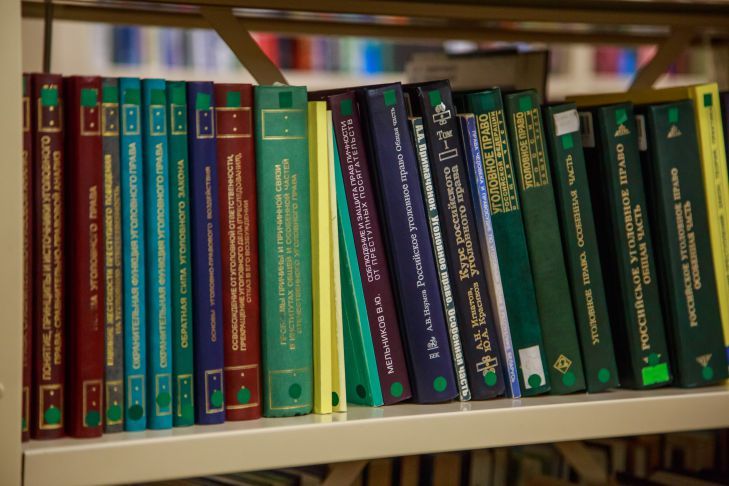 Пыльный кошмар на книжной полке? Эта обычная вещь сделает уборку мгновенной