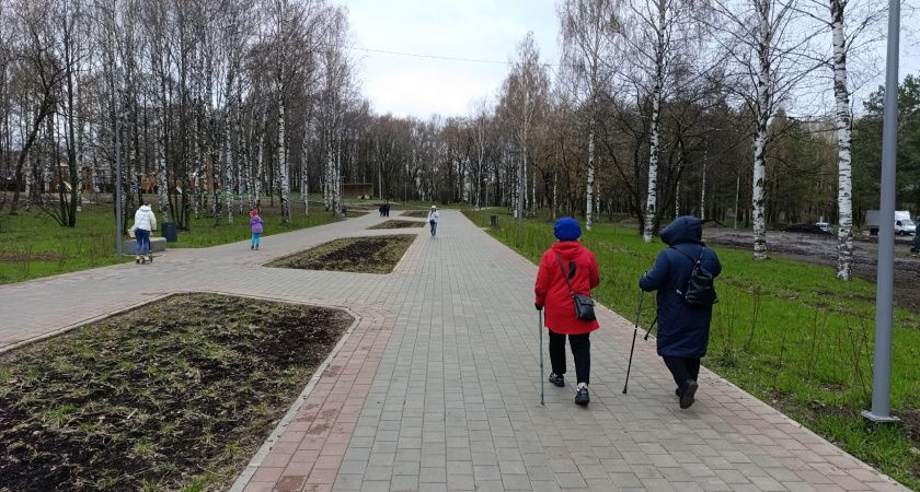 Пенсионеров без завещания ждет очень неприятный сюрприз уже в июне 2025 года - лишатся всего
