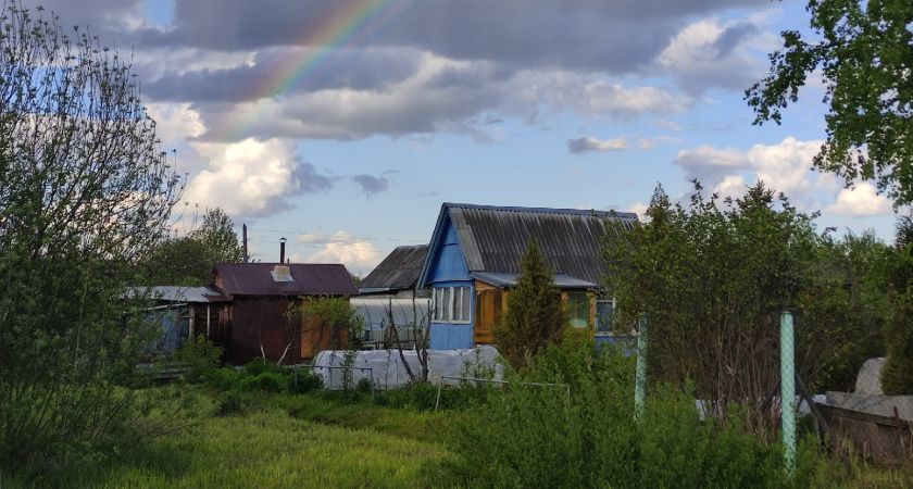 Опасные гости в саду: эти деревья вредят урожаю и вашему здоровью - избавляйтесь от них немедленно