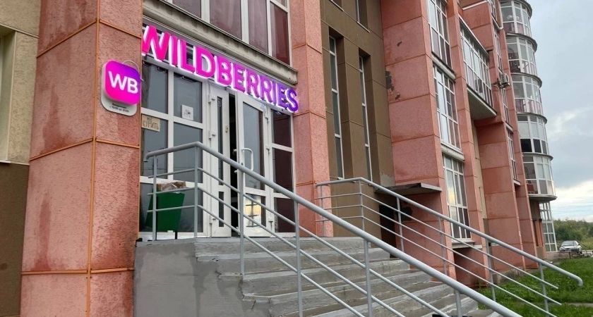 «Мы прекращаем работу c 1 июня»: Wildberries и Ozon приняли важное решение для всех россиян