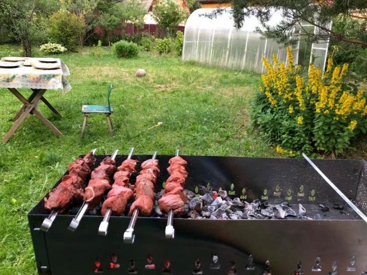 Из какого мяса получается самый вкусный шашлык: что бы вы не делали, он все равно будет сочным и ароматным