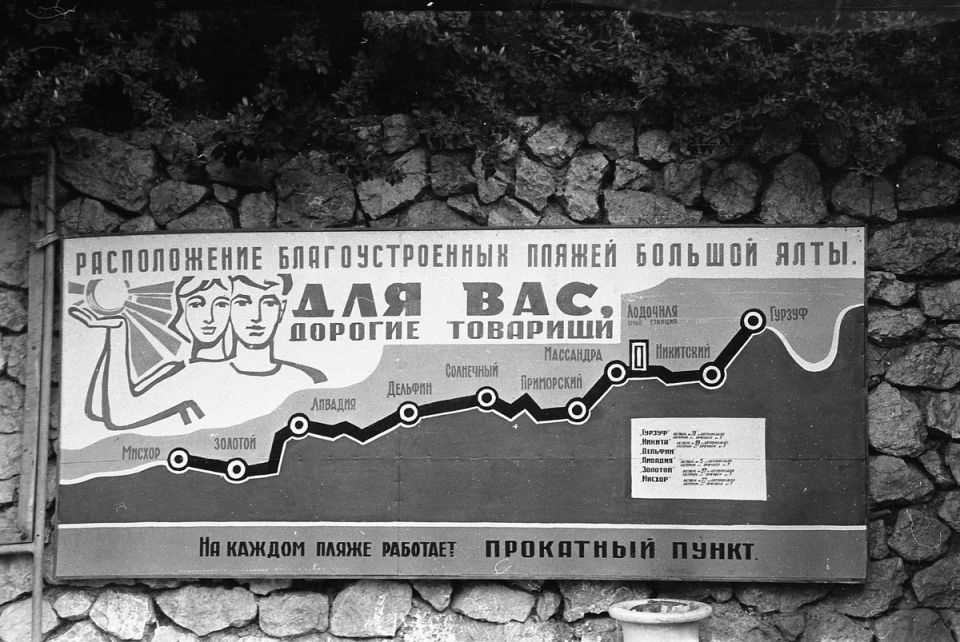   :  1980     