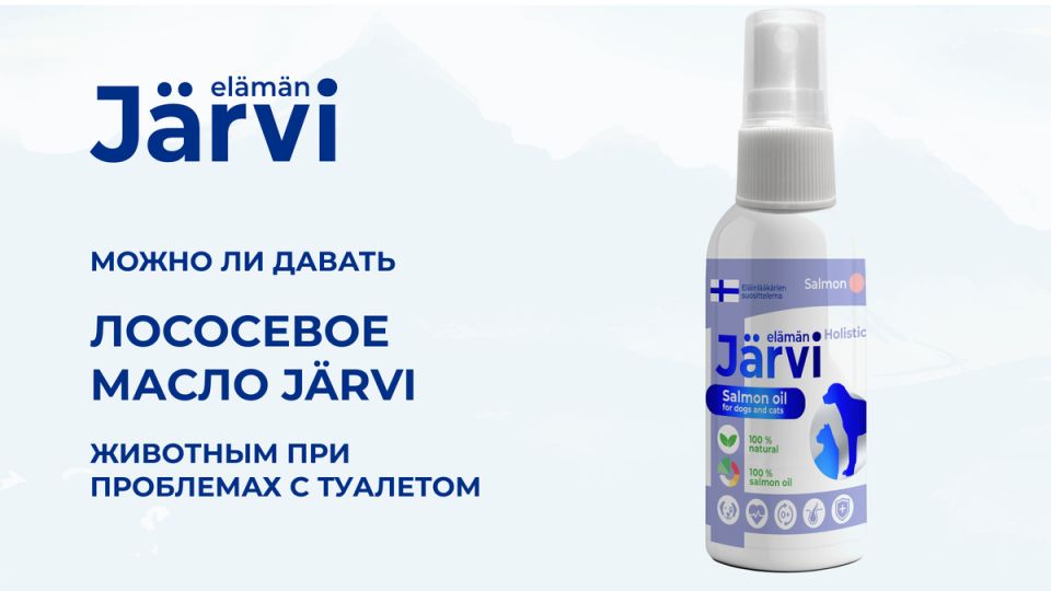   Jarvi:     