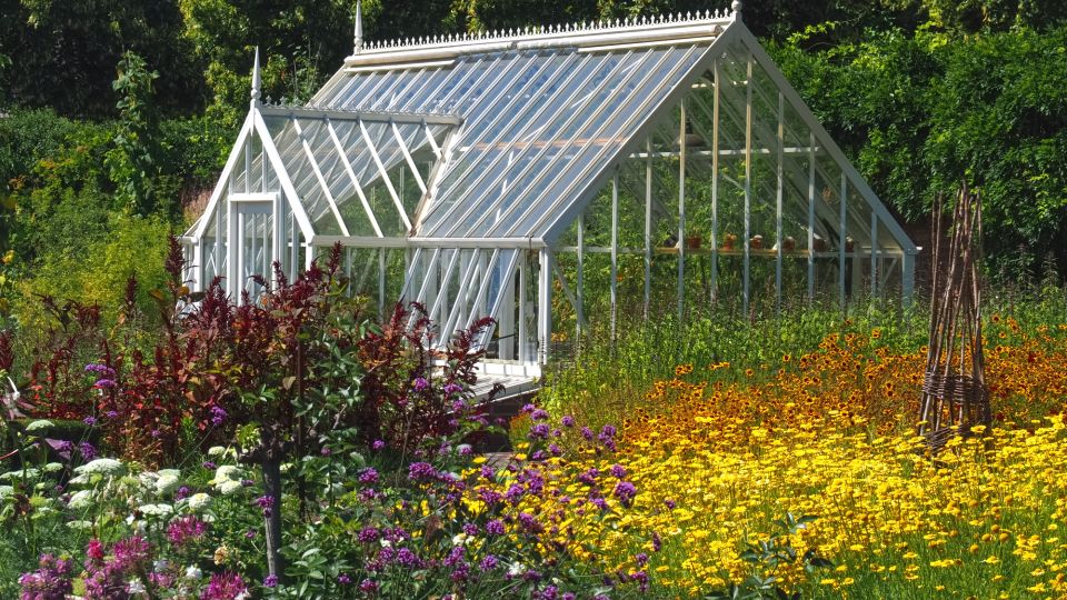 Сделайте это на участке осенью: в следующем году о вредителях даже не вспомните