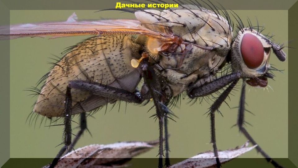 ����������� ��������� ������ � ��������, ���������� � ���������� ������: ������� �� ������� ���������