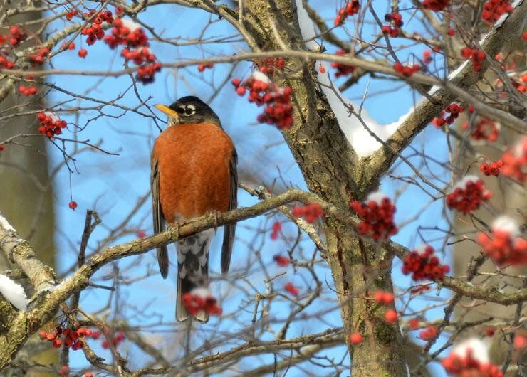 ��������� ������ ��������� � �����������