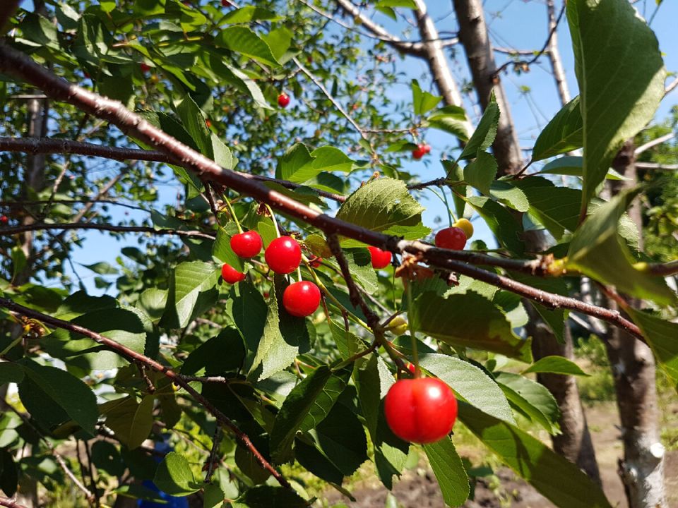 ������� ����� � �������: �� ��������� �� ����� ����