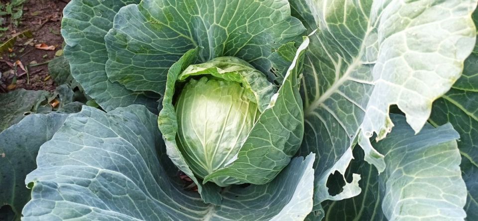 ��� �������� ���������� ������ ���������� � ������ �� ������ �������