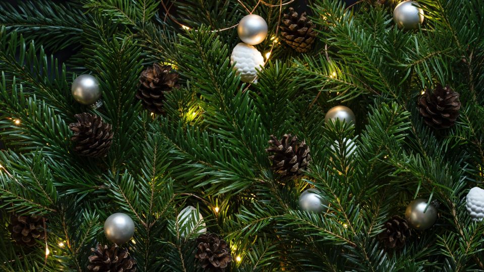 �� ����� ������ �� ����� �� ���������: �������� �������� ������� ������ ������� ������� � ���� ����