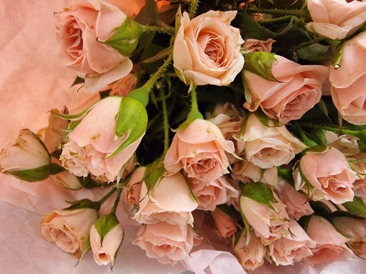 ��� ��������� ����� � ���� ������ ������: �������� � ���� �������� ��������