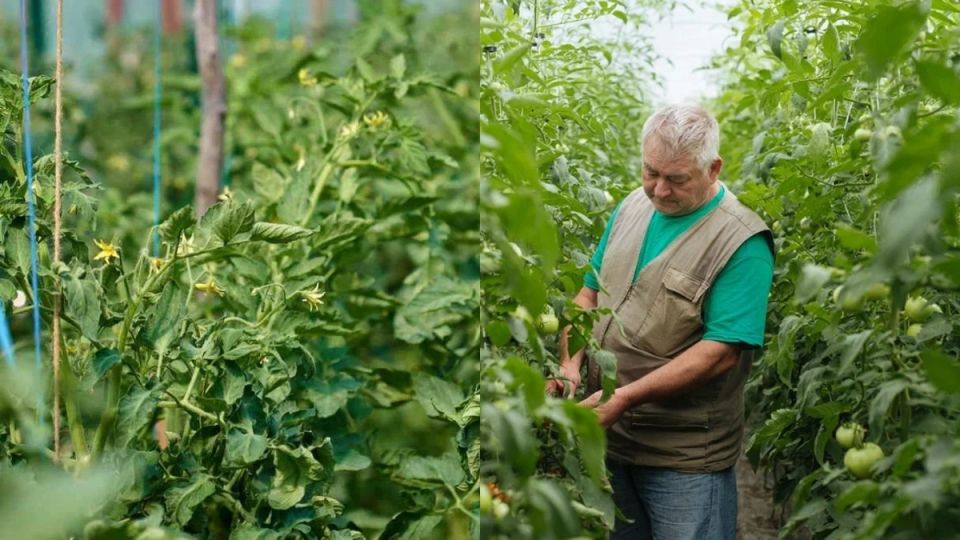 ��� �������� � ������ �������� ���������� ������ ������� � ��������� �������