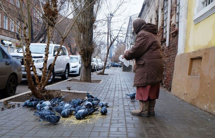 ������� ������ � ������ �������� ��������