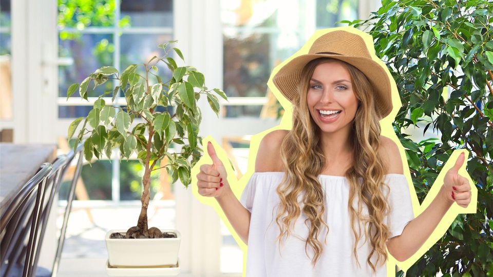 ������� ������ ������? 5 ������� ������ ����� ������ ������ � �����