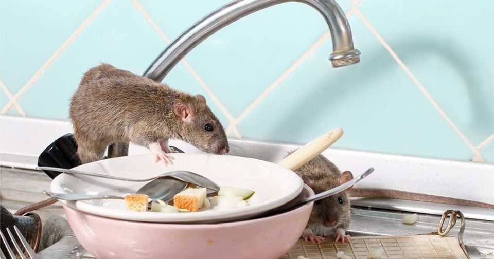 ��� ���������� � ���������� �� ����: �������� ������