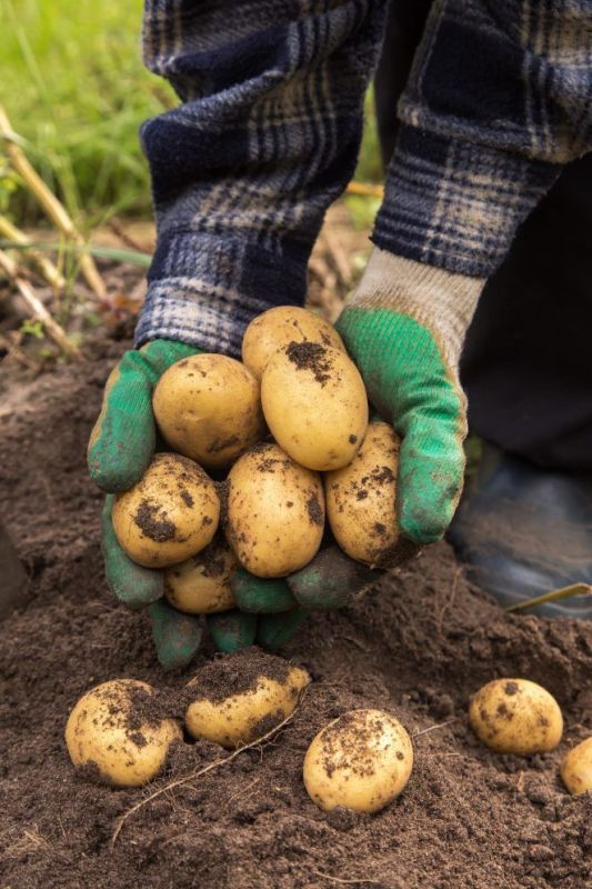 ��� ����� �������� ������ ������ � ����������� ���������