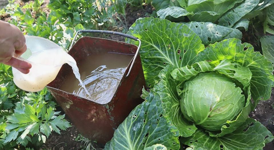 ��� �������� ���������������� ������ ��� ����� �� �������� � �������