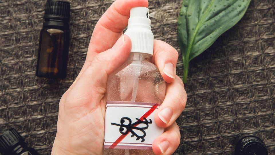 �������� ��������� ������: ������� �������� ���� ��������� ���������