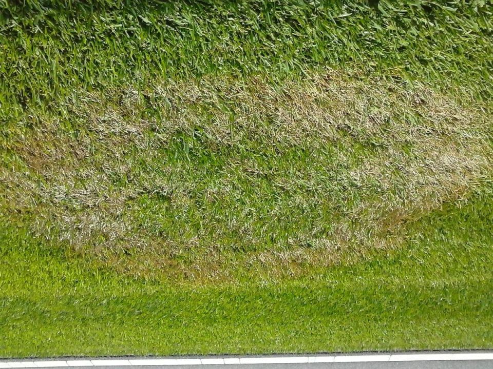 ��� ������� ������ ����� ������ ����: ���� ����� � ��������������