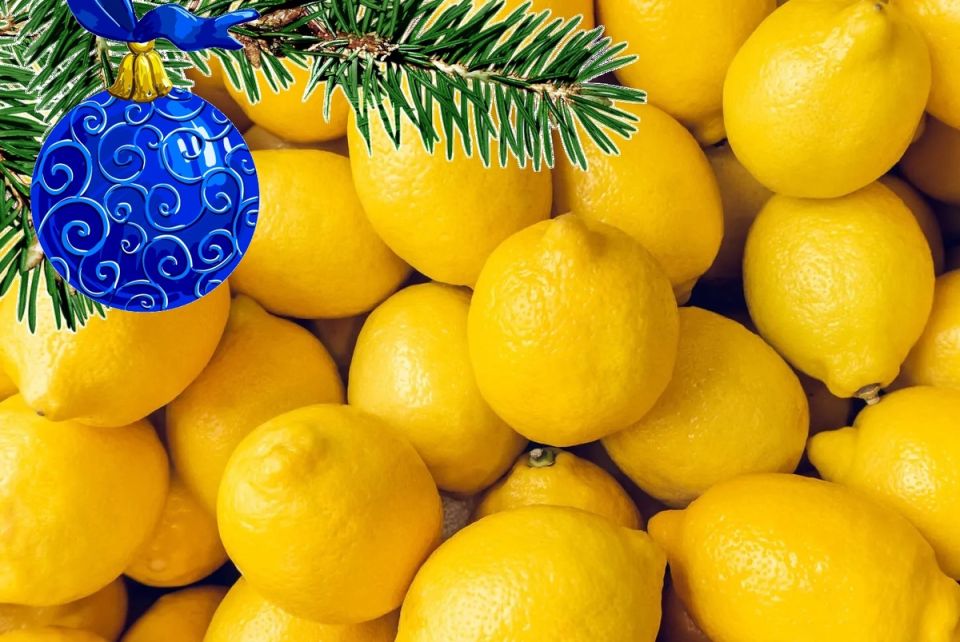 ������: ������� �������� �������