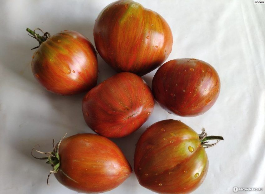 ����������� ������� ������ ��� ��� ����: ��� ������� ���������� ������