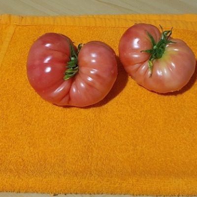 ����� �������: ������� ������ ������� ������