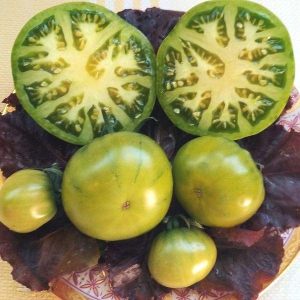 ����� �����: ������� ��������� ��������� ������ � ��� ���������� �����������