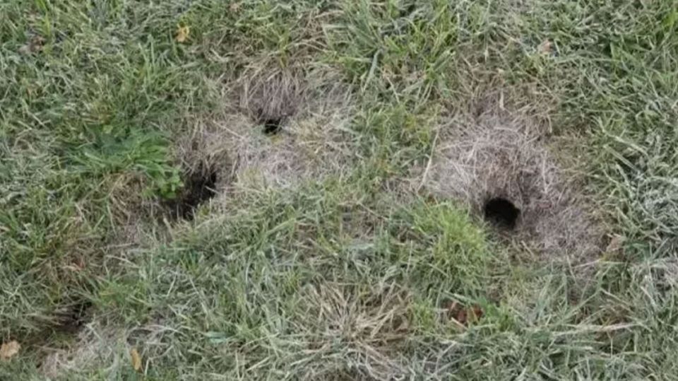 ��� ���������� �� ������� ������: ������ ����� � ����������� ����