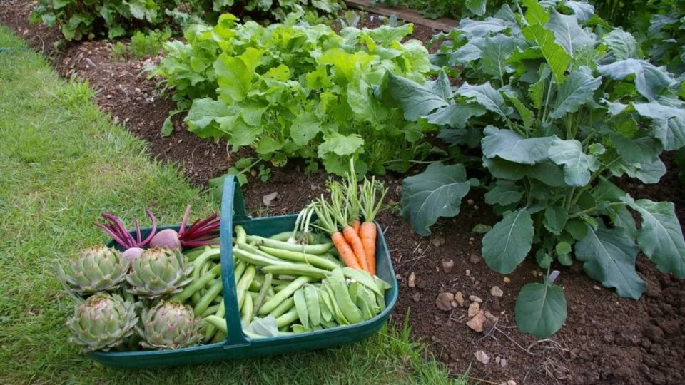 ������ ����������� ��������� �� ������� ������: 10 ������, � ������� ����� �����