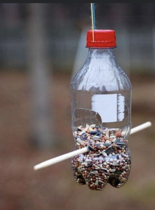 �������� ��� ���� �� 15 �����: ������� ������ ���������� �������� � �������� ��� �����