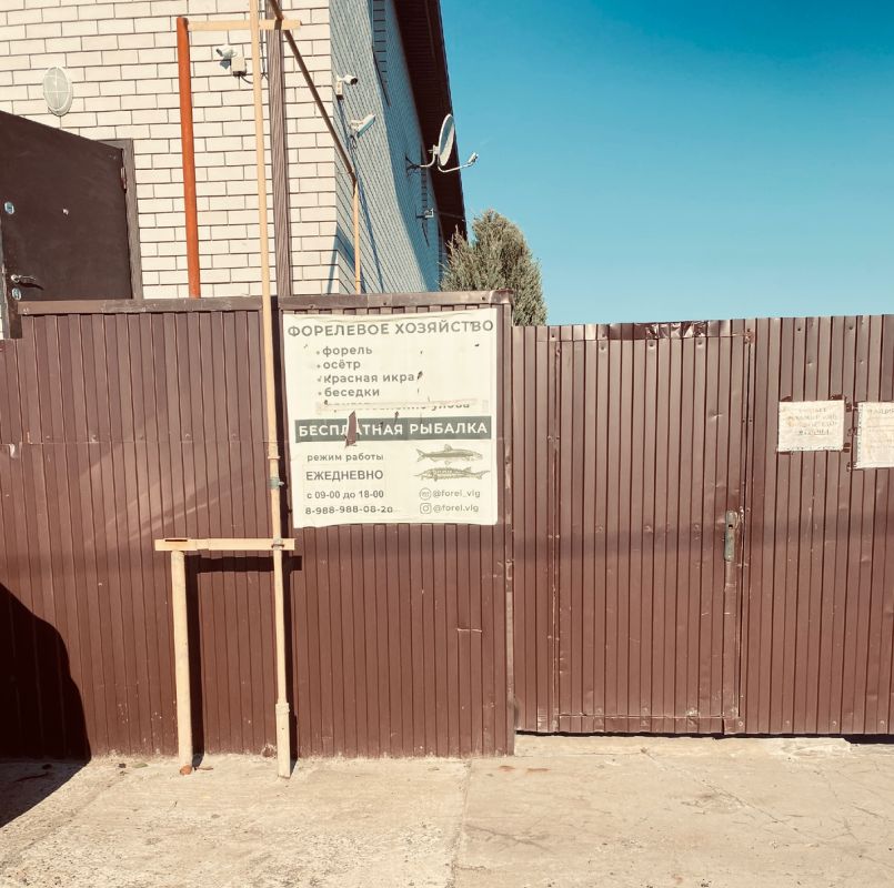 Как день возле форелевого хозяйства снова стал уроком спокойствия