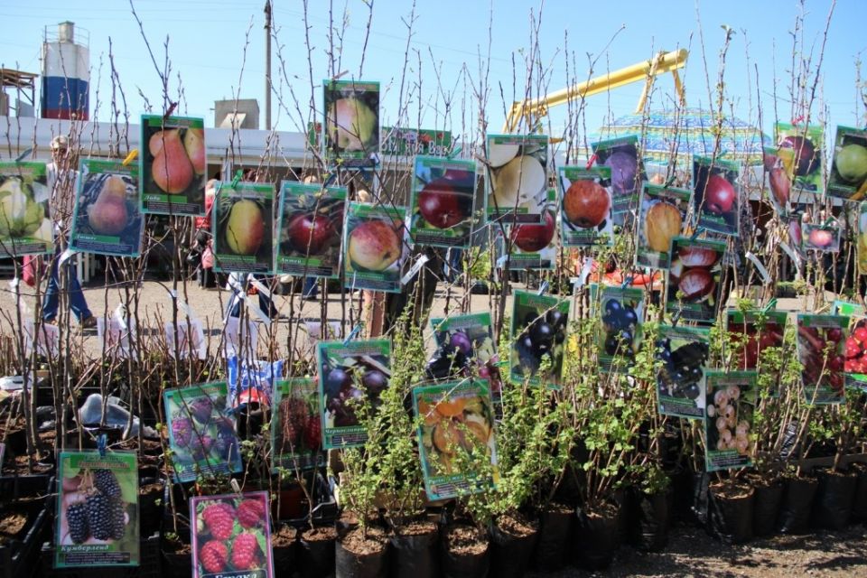 ������� ������ ������������� ������� ��� ���������� �����������