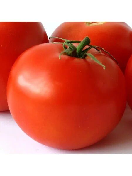 ����� ��������: ���������� � ������� ���� � ������� ������� � ������������� �����������