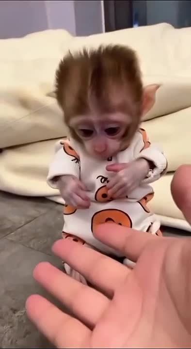  ,  !
