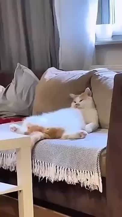  ,  !