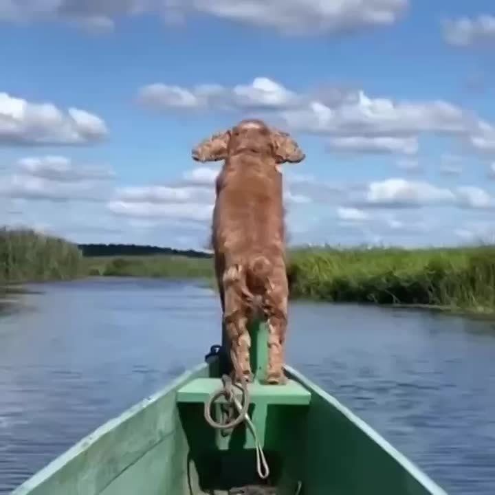 : . :   