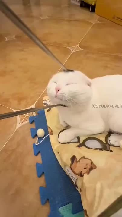  ,  !