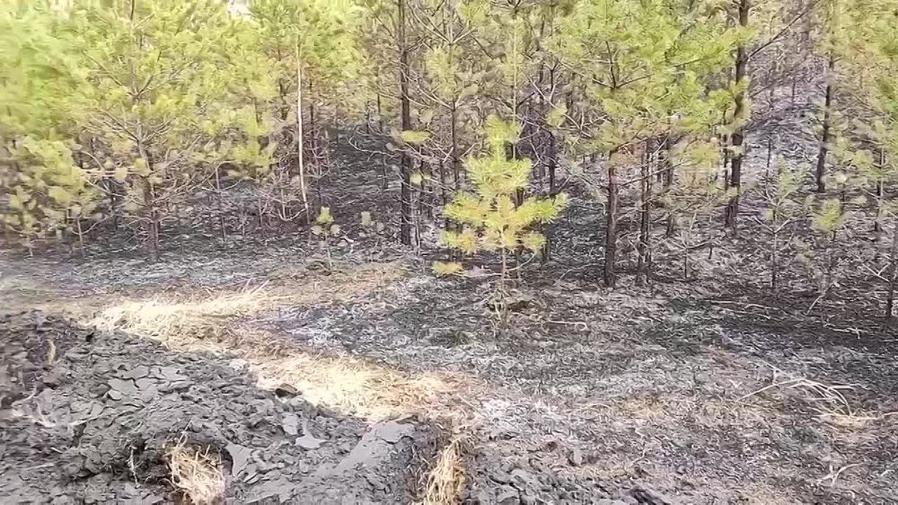  : #.      