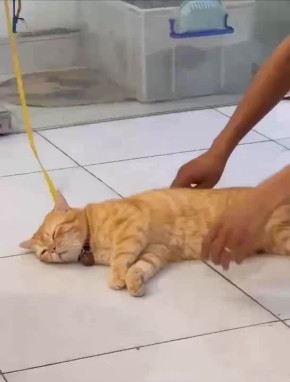   !    ? ?