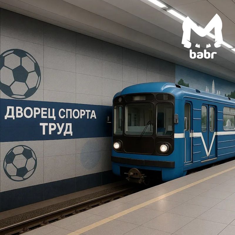         Babr Mash