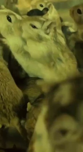      ?