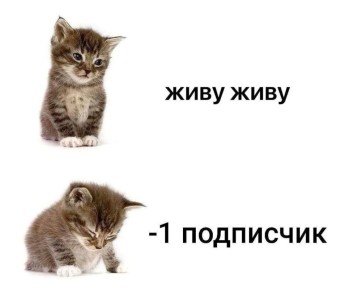 &quot;-&quot;   