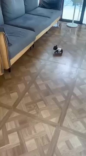  ,  !     