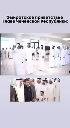  :  -    ,          ,      