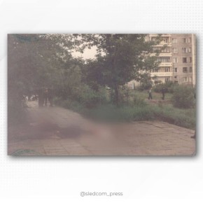           ,   20  