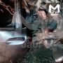 Легковушка протаранила дерево на трассе в Иркутской области