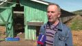 17 тысяч норок почти в одно время ощенились в зверохозяйстве поселка Большая Речка