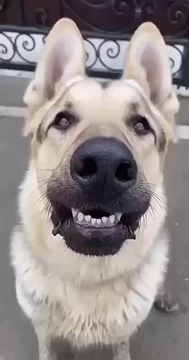  ,  !