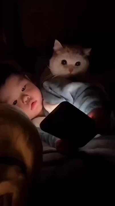  ,  !