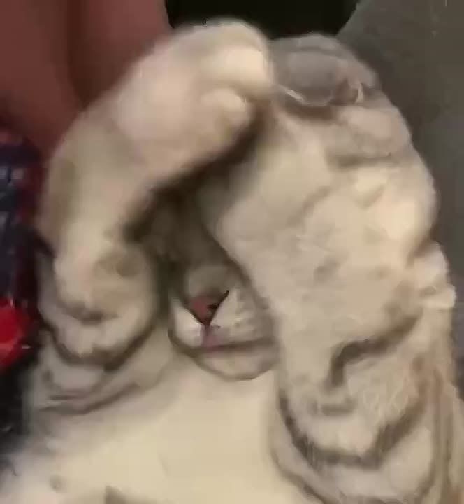  ,  !