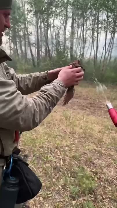  :    ,      